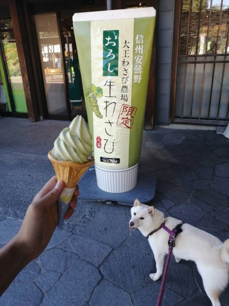 愛犬と旅行　長野（4）【ワープロ修理販売の得選屋ブログ】