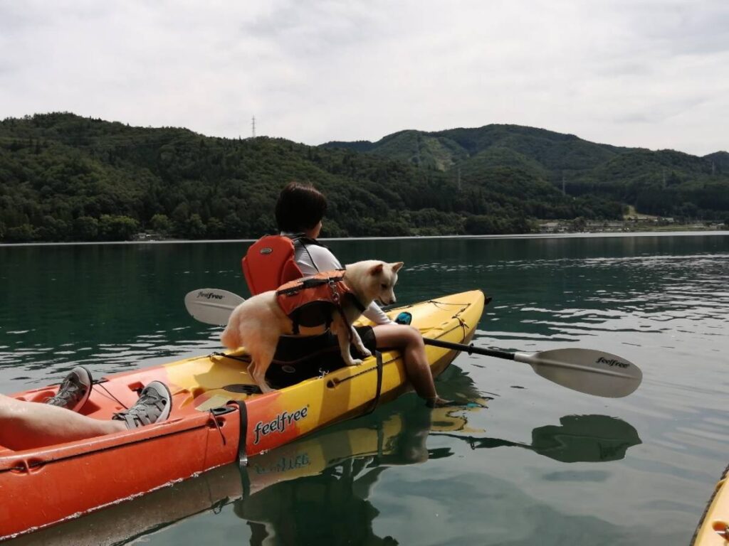 愛犬と旅行　長野（6）【ワープロ修理販売の得選屋ブログ】