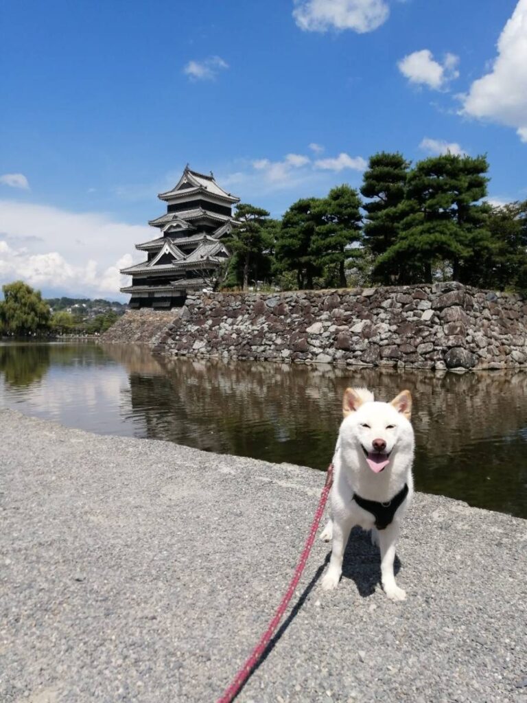 愛犬と旅行　長野（7）【ワープロ修理販売の得選屋ブログ】